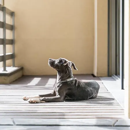 Apartamento Lemon Beach-bright 3min To & Metro Matosinhos (Porto)